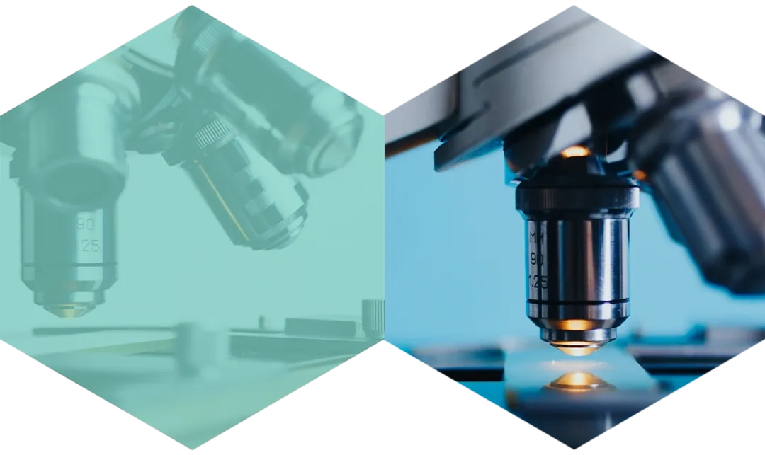 How digital technology brings innovation to traditional pathological diagnosis