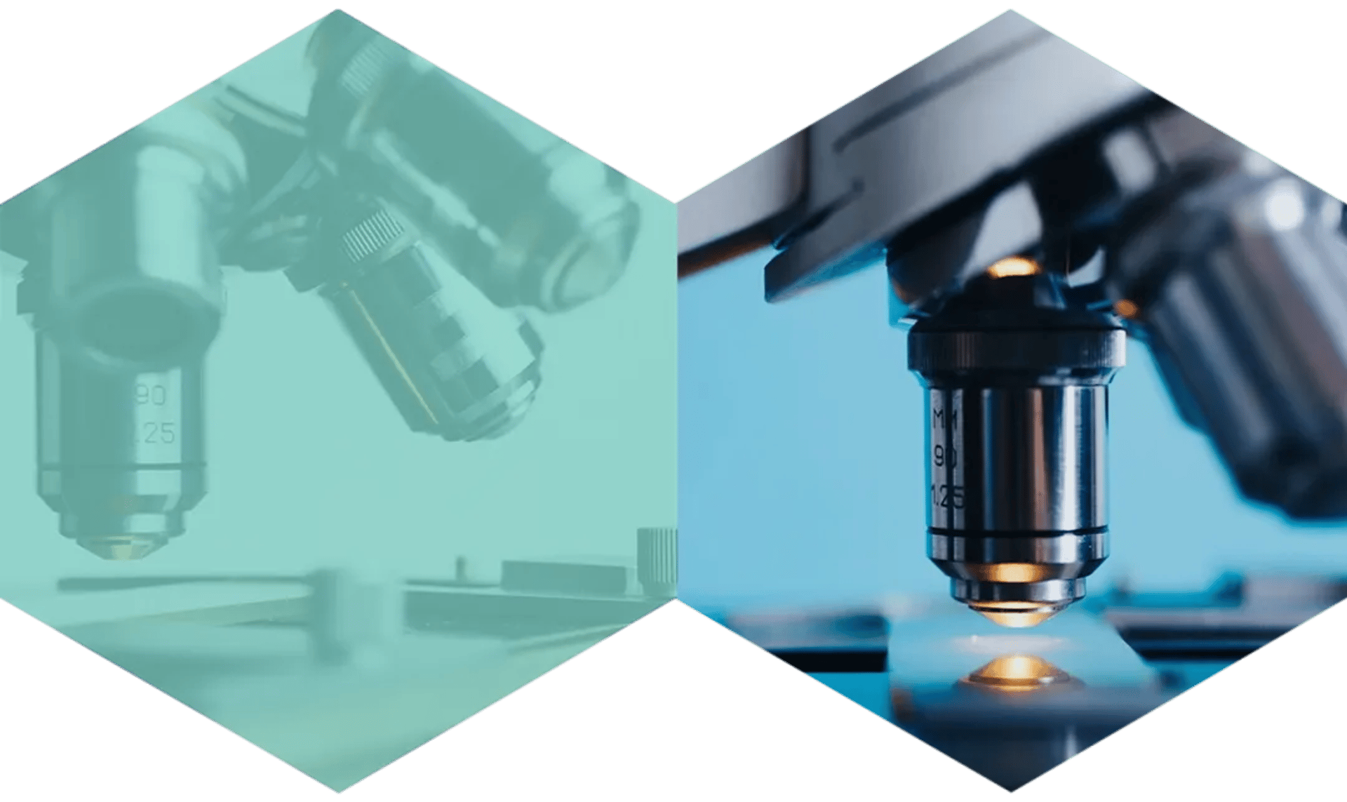 How digital technology brings innovation to traditional pathological diagnosis