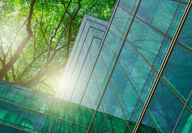 Office surrounded by trees