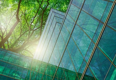 Office surrounded by trees