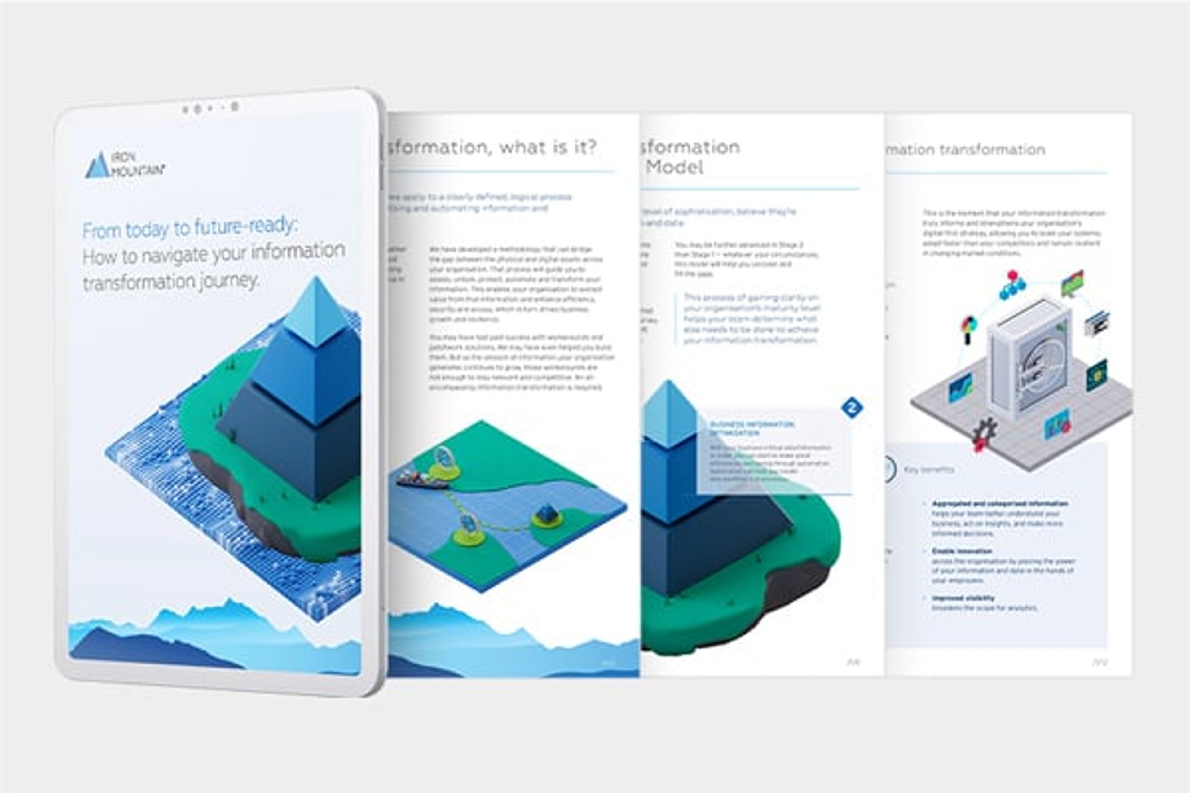 Information transformation maturity guide