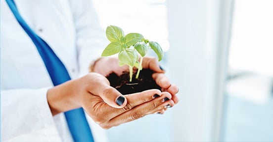 https://edge.sitecorecloud.io/ironmountain-c8dd68e9/media/project/iron-mountain/iron-mountain/images/resources/multimedia/r/rethink-e-waste-in-healthcare-and-life-sciences-a-doctor-holding-a-plant.jpg?h=289&iar=0&w=552&sc_lang=en-bh