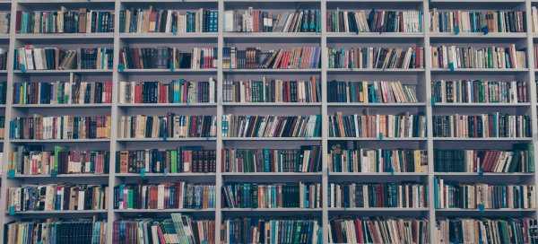 Studium przypadku - digitalizacja dokumetów w muzeum