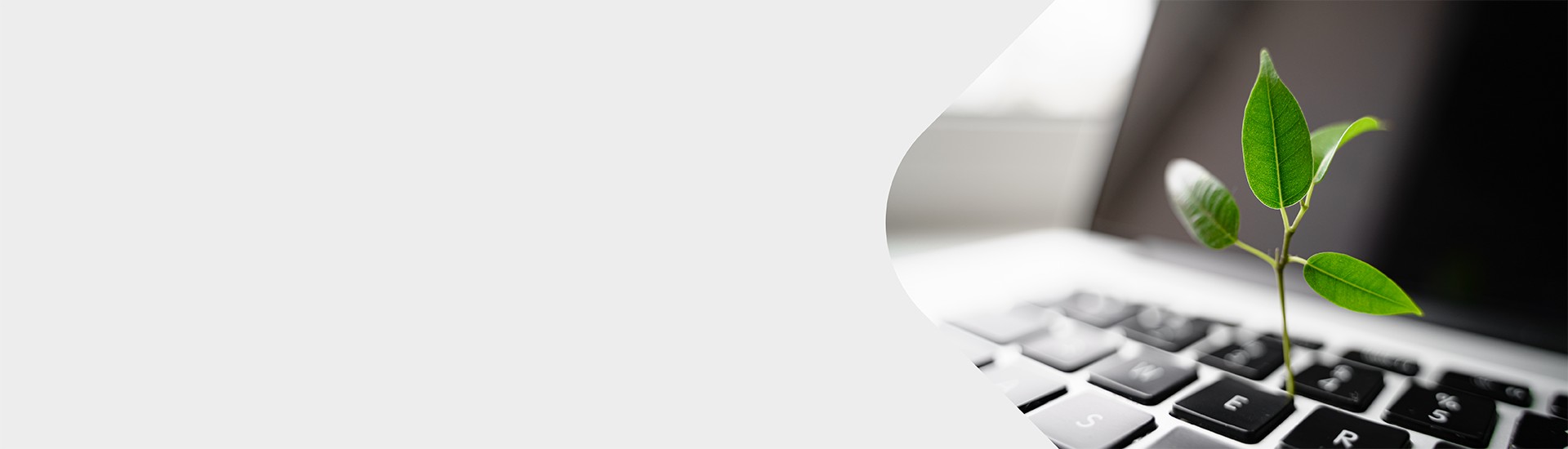 Asset Lifecycle Management