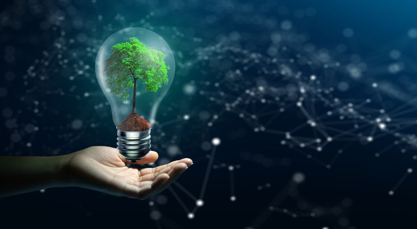 A Closer Look at Corporate Accountability in Environmental Disasters