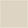 exterior-color-options-ivory