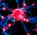Neuro