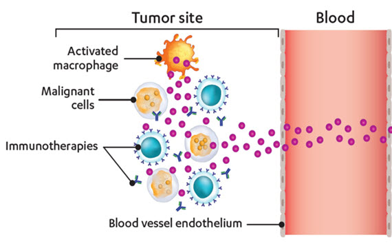  Neurotoxicities associated with immunotherapy