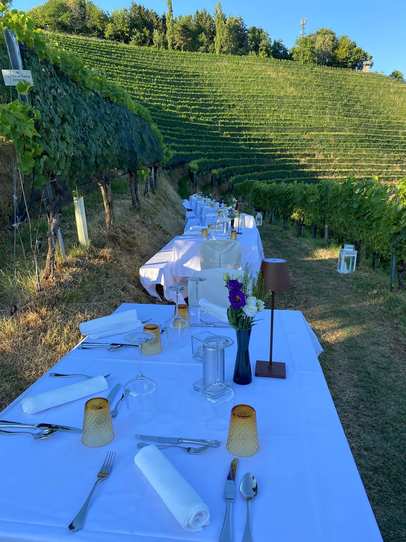 Dinner im Weingarten