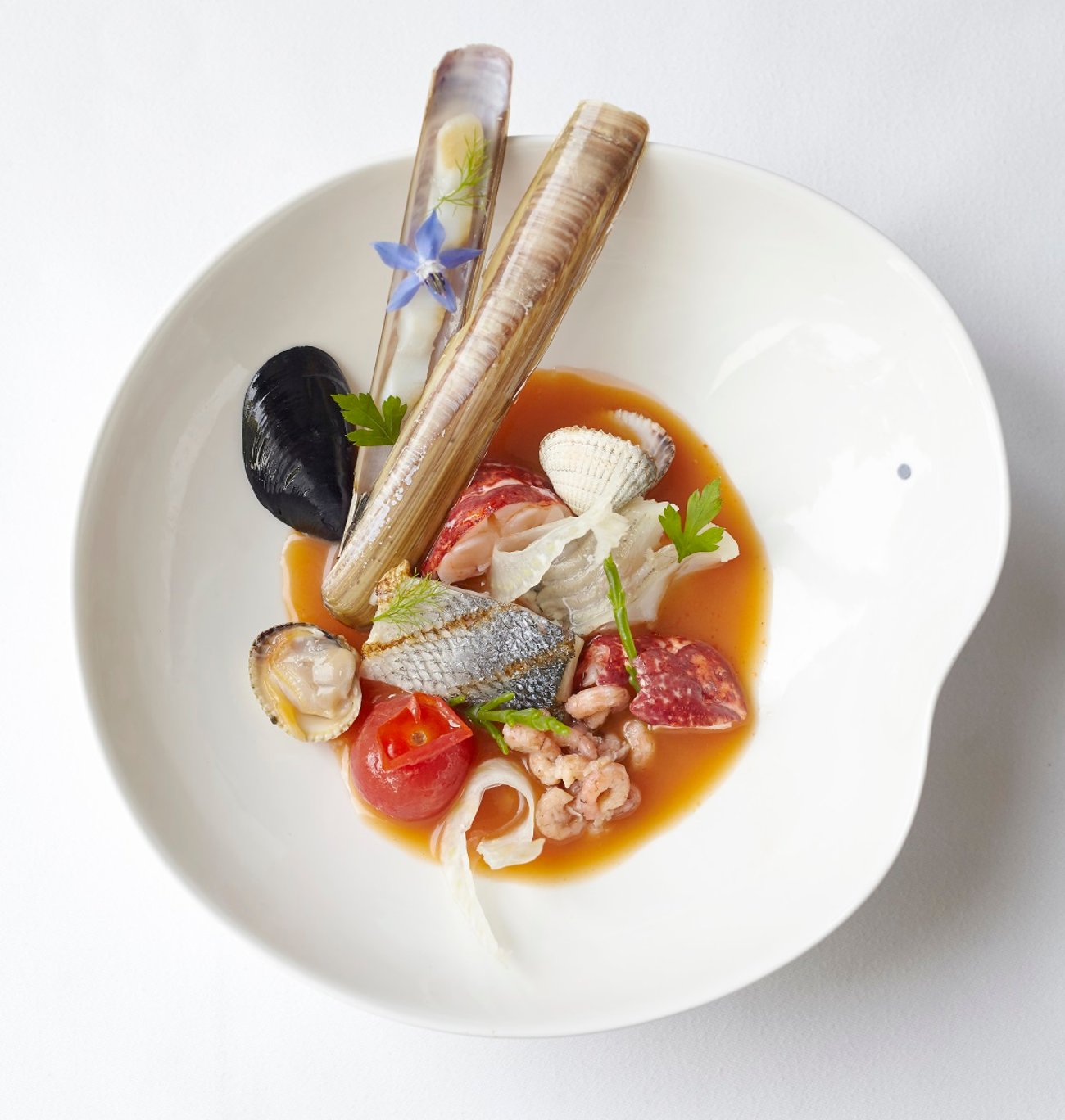 Restaurant Scherp Chef Mart Sherp Dish Seafood