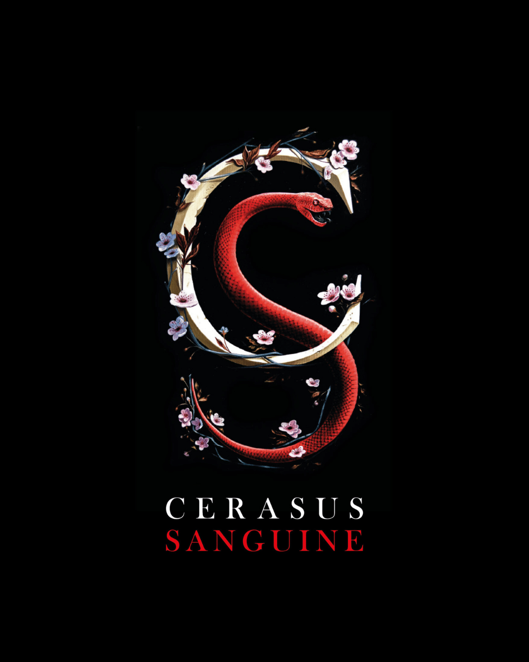 cerasus