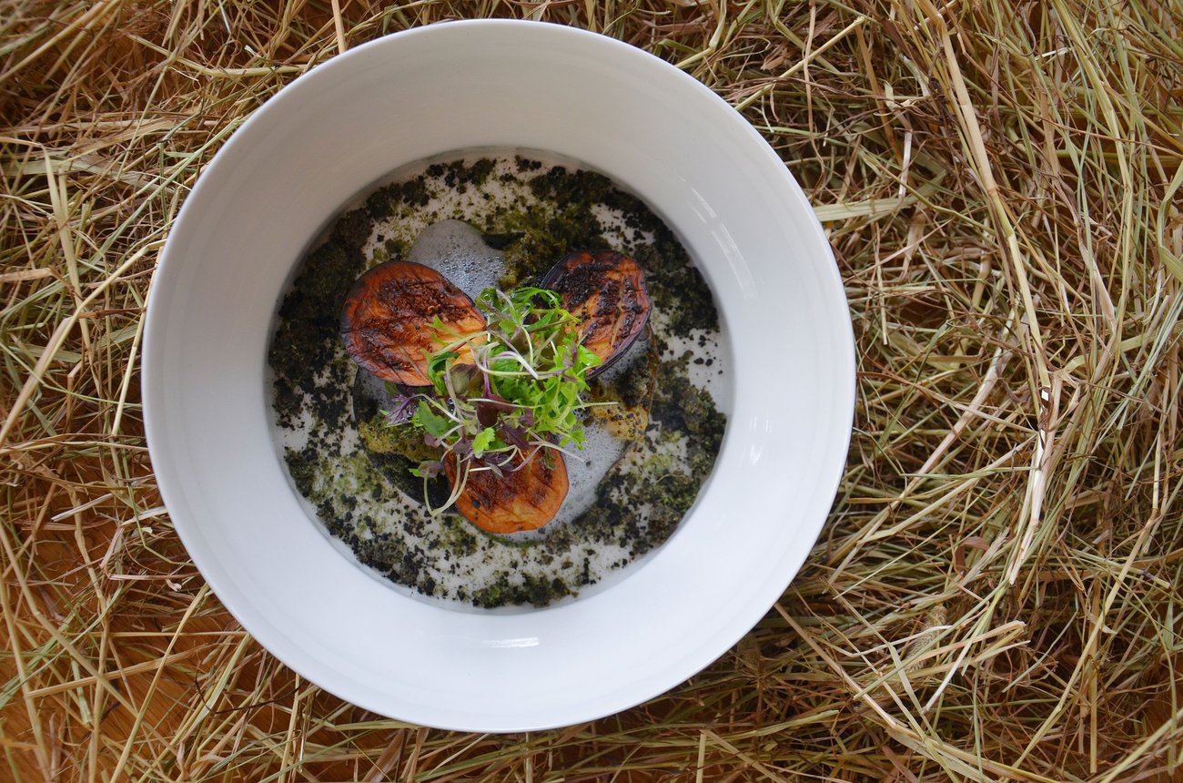 Aubergine terreuse