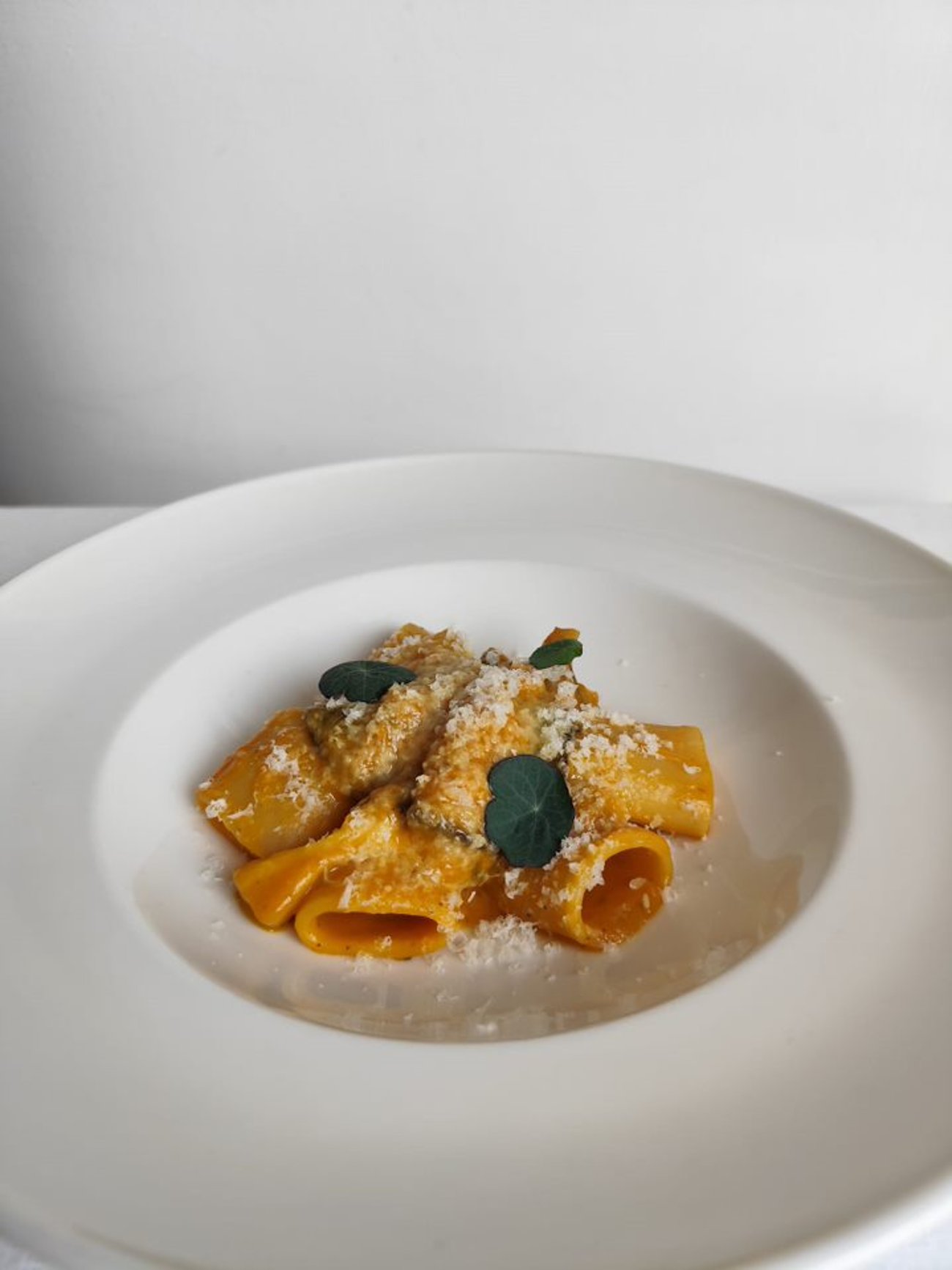 Mezzi Paccheri with Cardoncelli Mushrooms Pumpkin