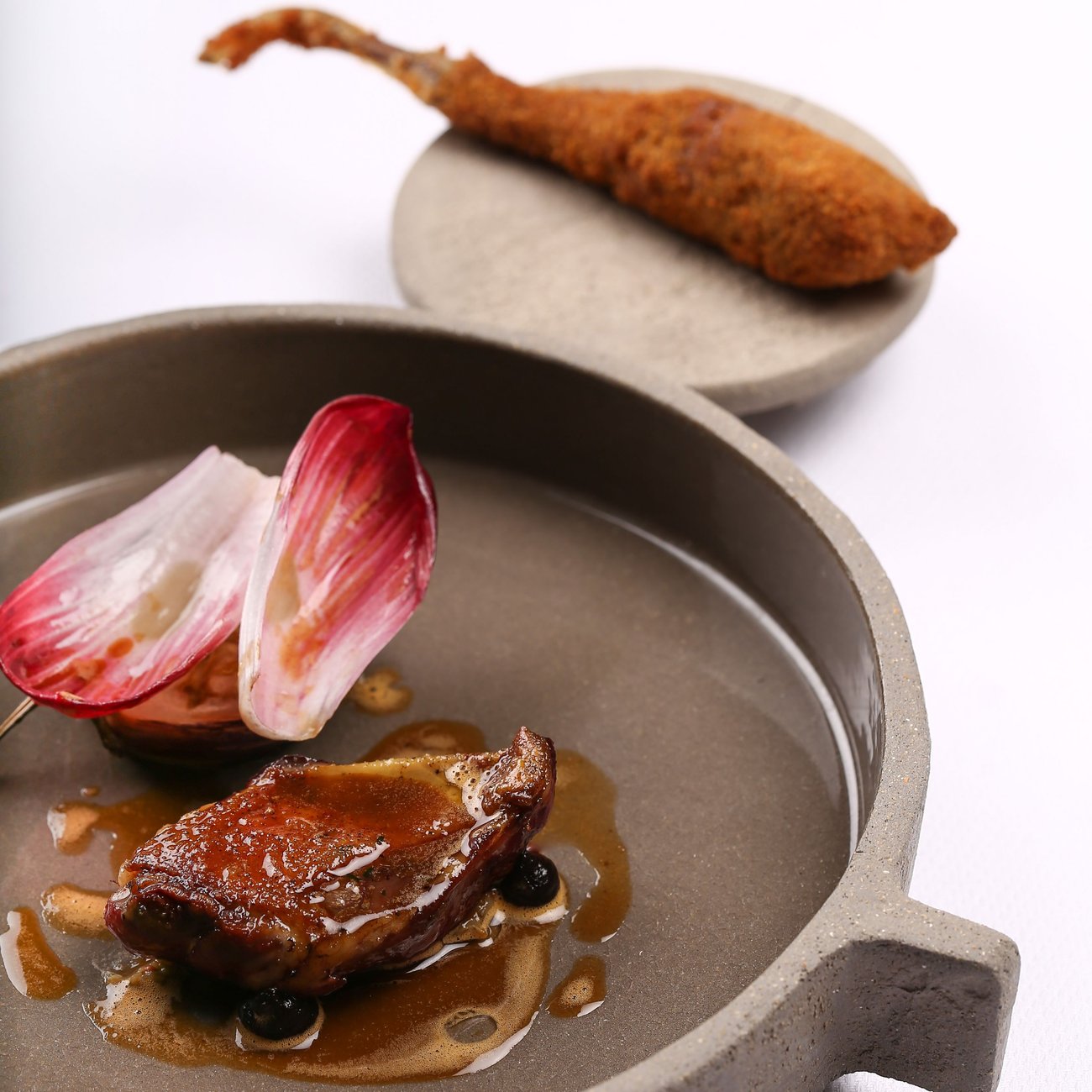 Pigeon endive carmina et cacao