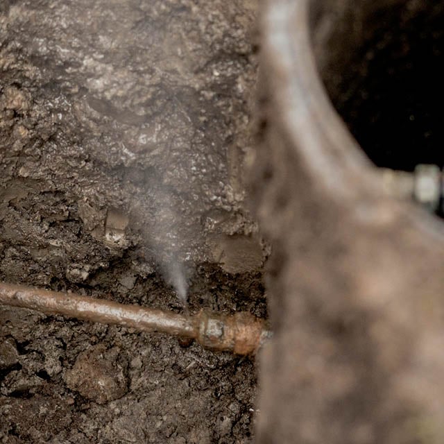 2024-11-18_Albox_640 x 640_ES_V19