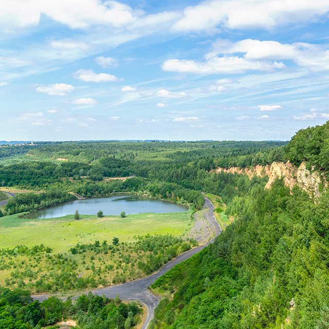 7210659_Warndt_640x640