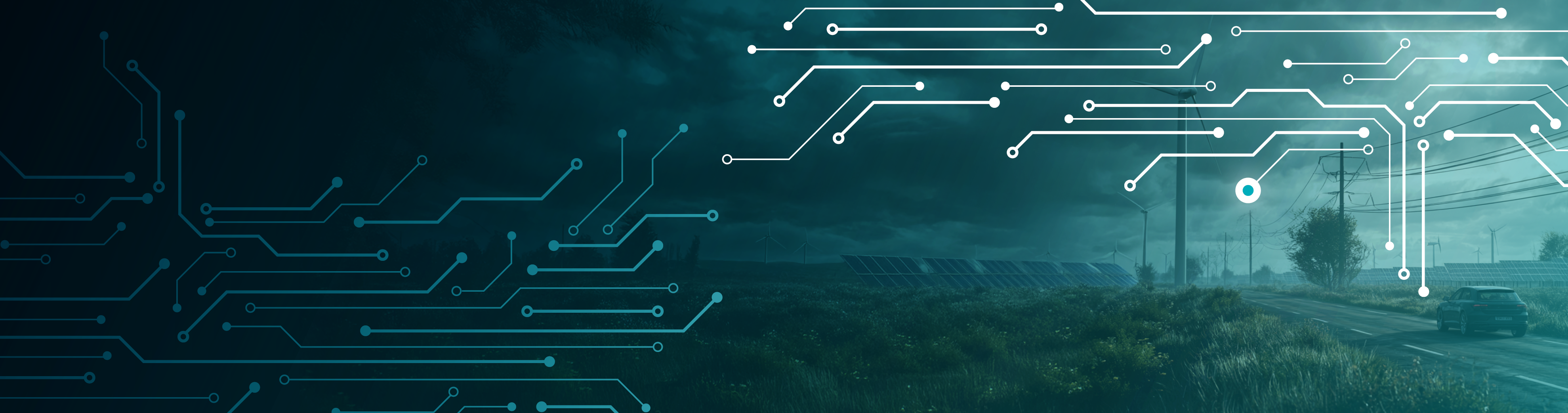 Elektrificeringens Bagside3