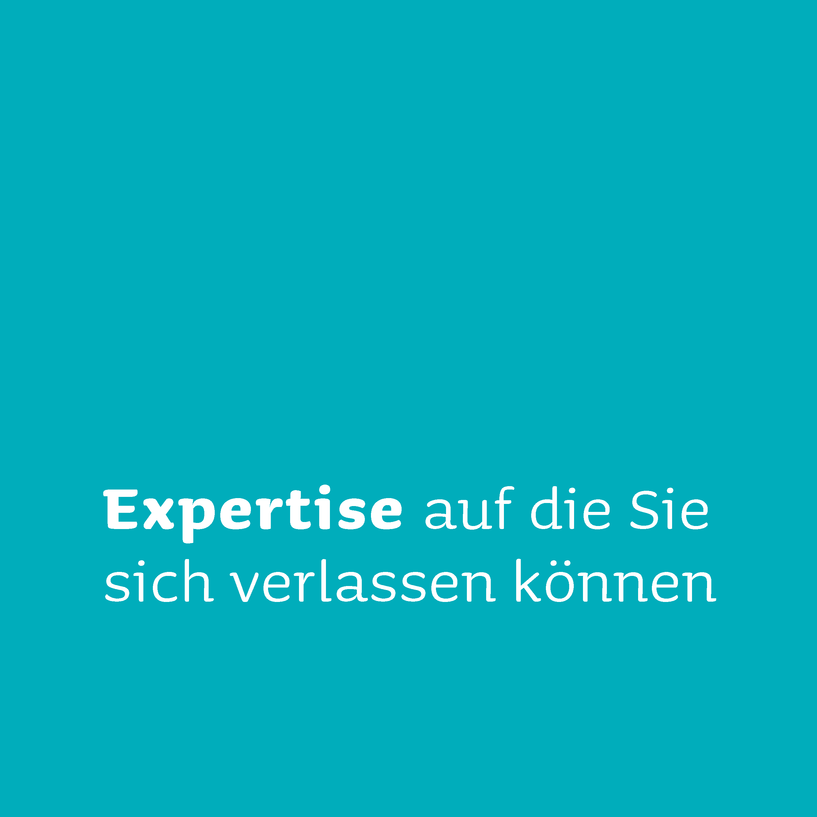 Schlüsselfertige Lösungskompetenz entsprechend Ihren Bedürfnissen