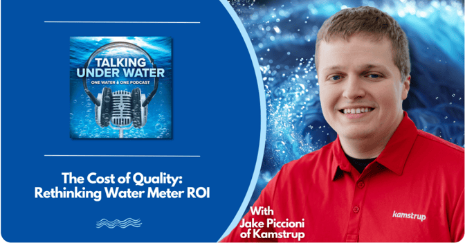 The Cost of Quality with Jake Piccioni cover image