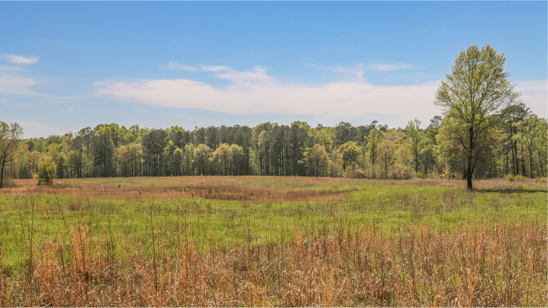 talbot county georgia field