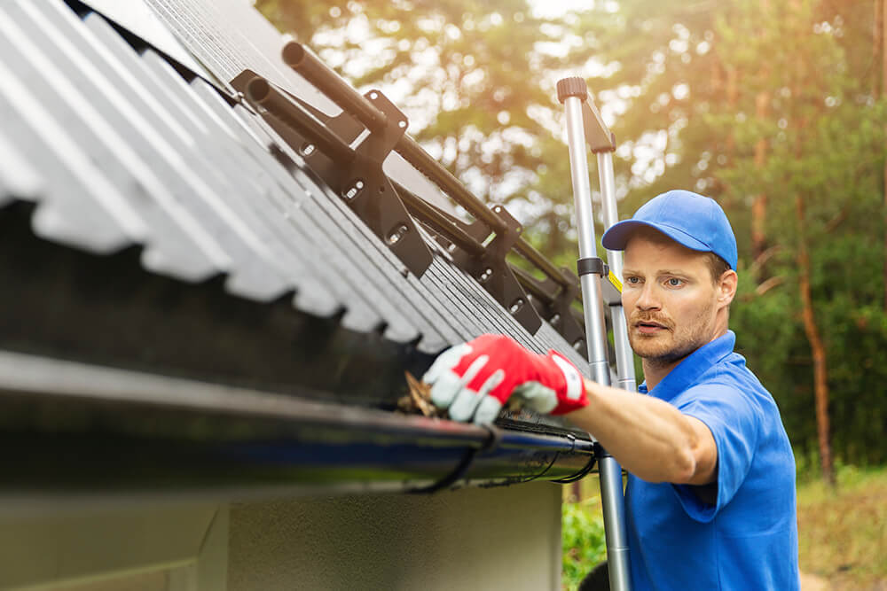 clearing gutters for bushfire preparation