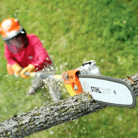 Trimming using the Pruner Pole Petrol.