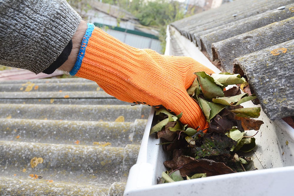a person wearing a glove scooping out leaves from a gutter