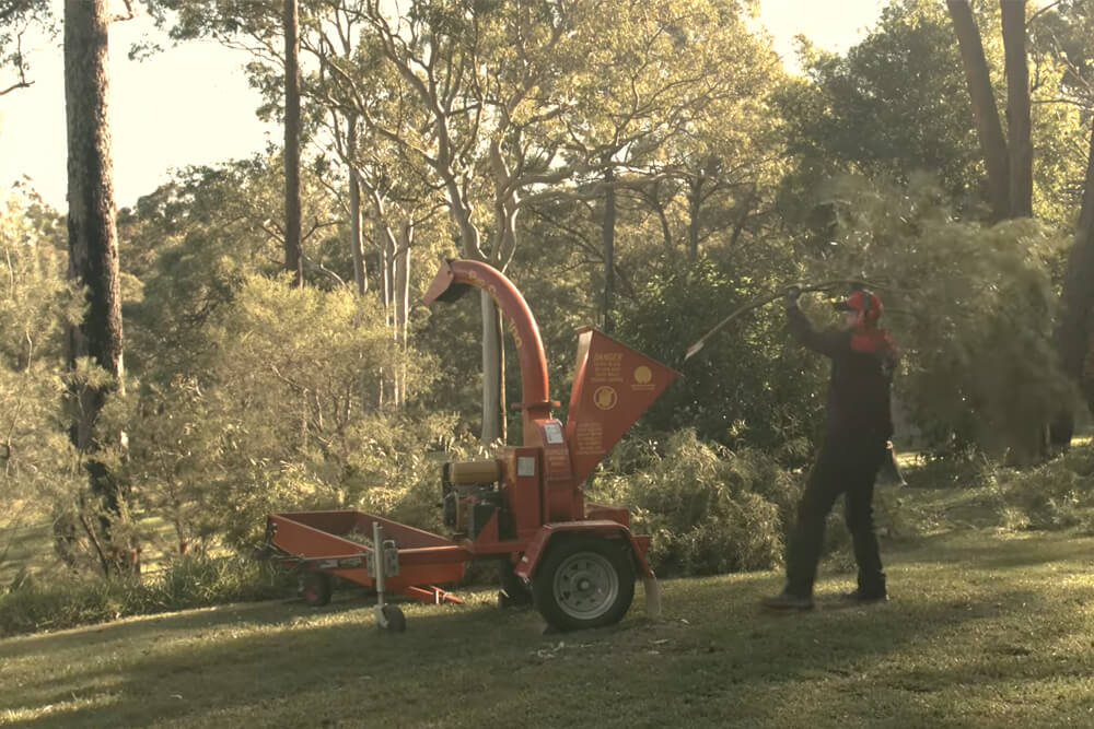 Kennards Hire team member putting a branch into a wood chipper