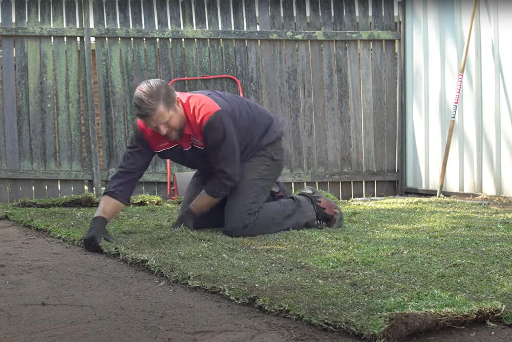 Kennards Hire team member laying turf on prepared soil