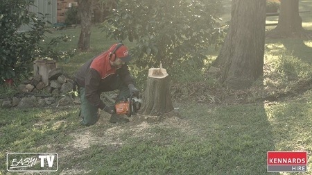 Creating your work space before stump grinding