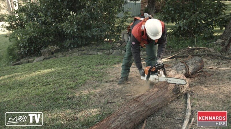 Cutting down tree trunks