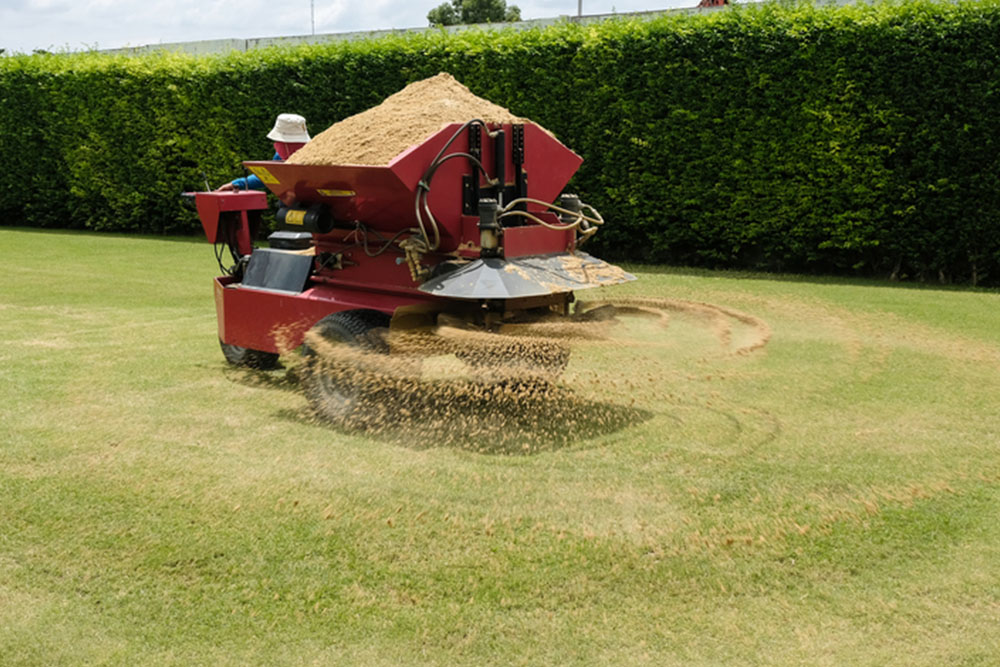 Grass removal discount machine for rent