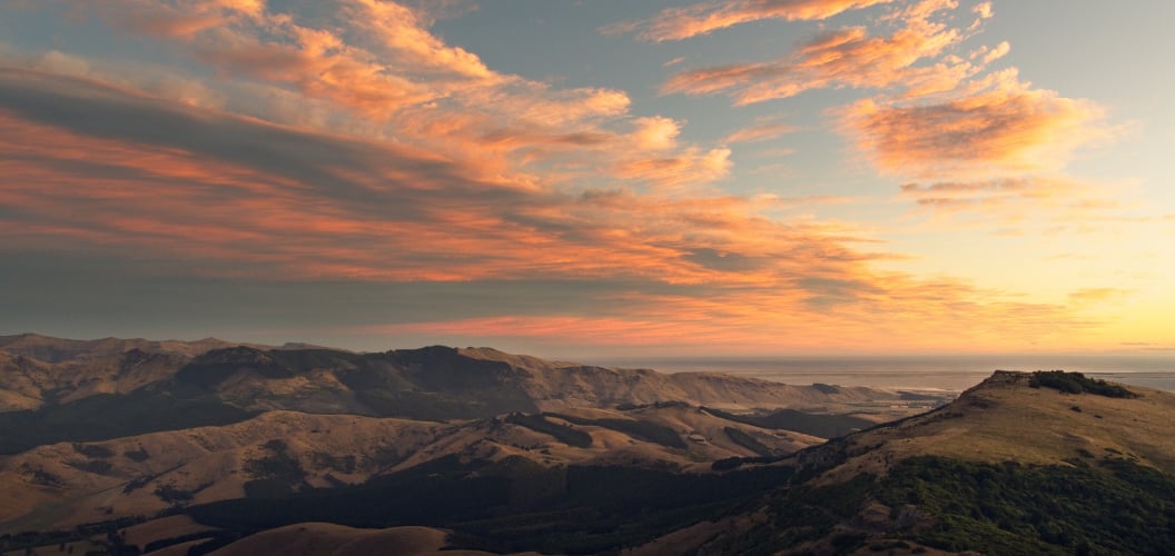 KH3123_Waitangi_Day_Website_Carousel_1056x500