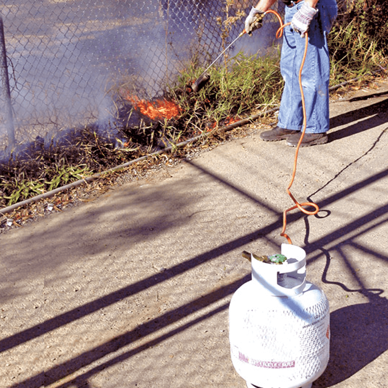 FLAME THROWER LPG for Rent Kennards Hire