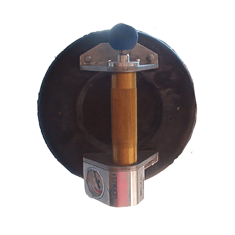 GLASS LIFTER 450KG MATERIAL HOIST for Rent Kennards Hire