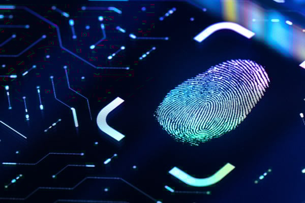 What is Cyber Threat Hunting