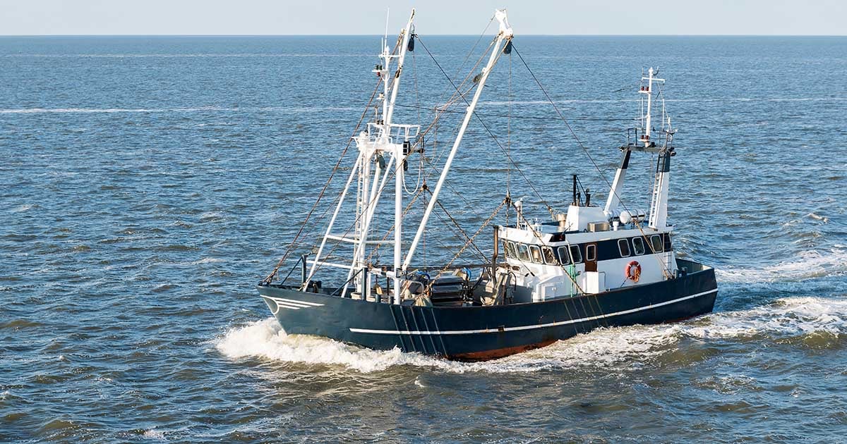Europe’s Hidden Tuna Empire: Blue Marine Foundation and Kroll Report 2026 | Kroll