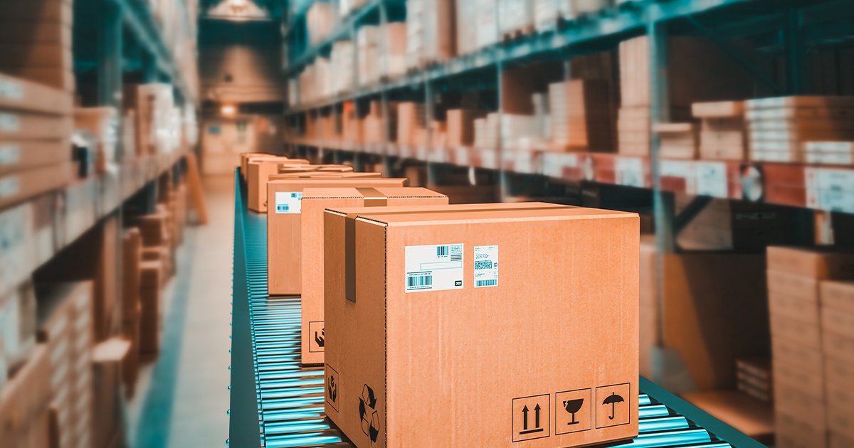 Specialty Distribution Industry Insights–Fall 2024