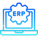 TTSDS-ERP Systems 2
