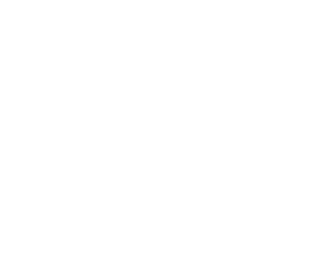 47-tailored-agentic-ai-solutions 1