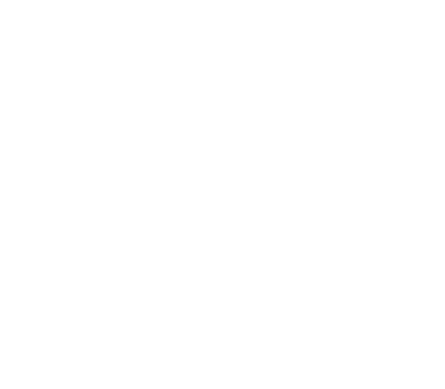 51-enterprise-security-governance 1