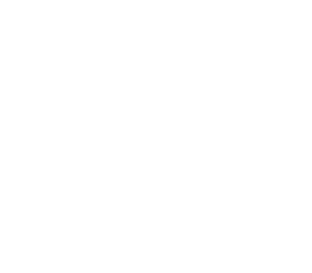 End-to-End Project Support