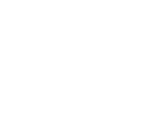 Enterprise-Grade Security