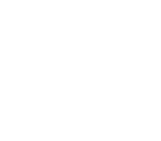 46-transparent-process 1