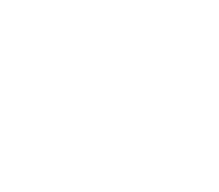 28-next-level-security 1