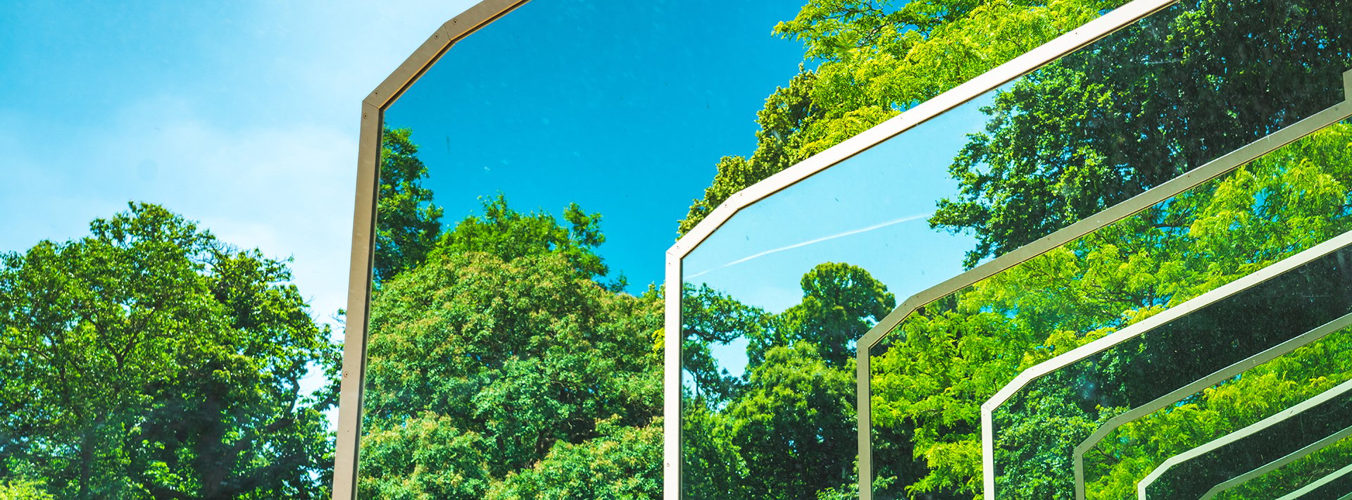 Lewis Silkin View of green trees and blue sky seen through angular panes of glass
