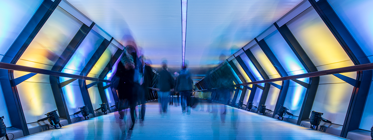 people_walking_through_purple_tunnel_2024_insight