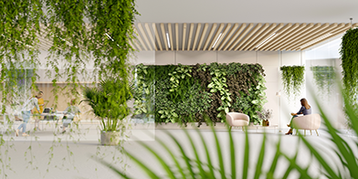 biophilic designs