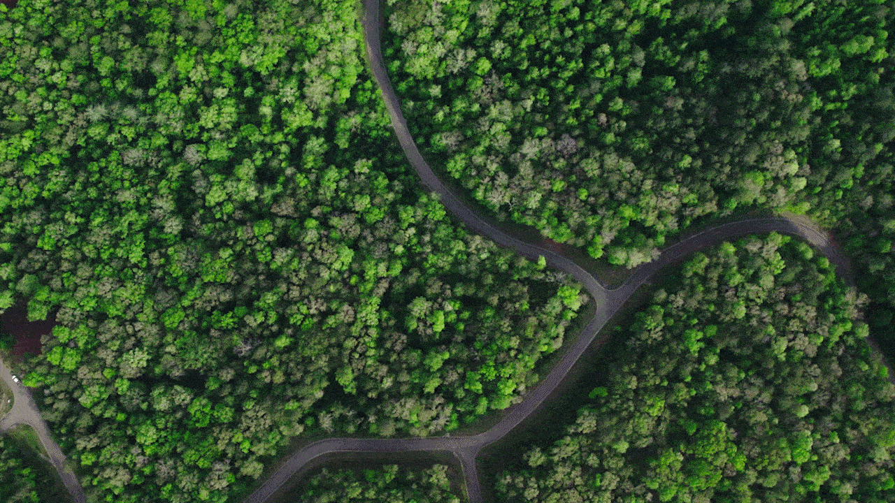 Aerial footage of The Tate Reserve neighborhood