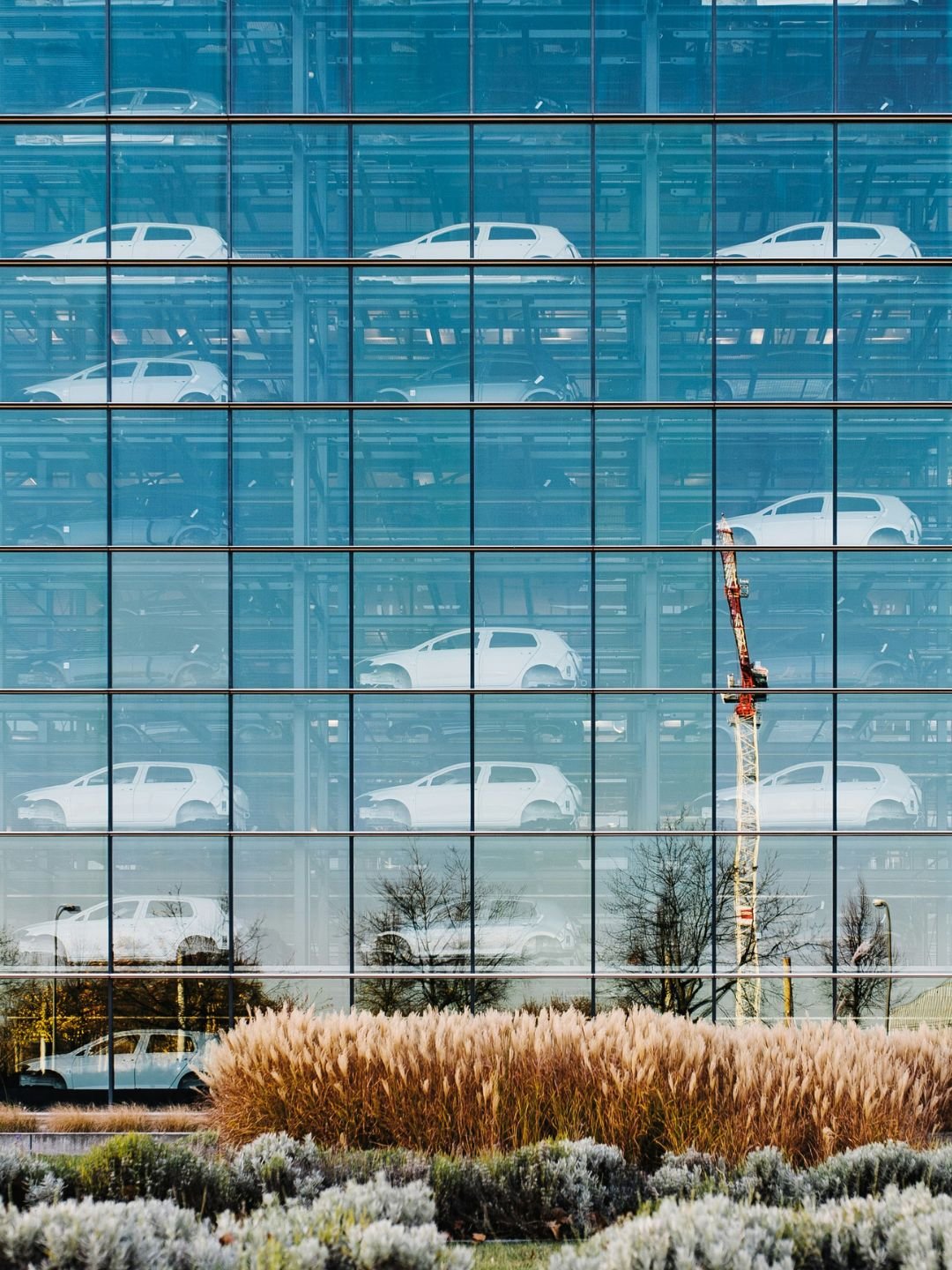 cars through a showroom window